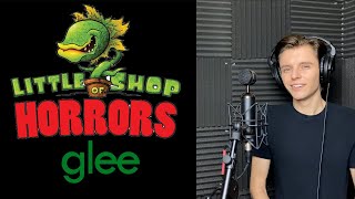 Suddenly Seymour Male Part Only  Little Shop Of Horrors GLEE VERSION [upl. by Westbrook995]