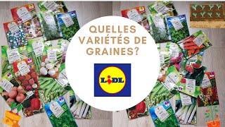 Graines Lidl quelles variétés  Vlog 1 [upl. by Krell180]