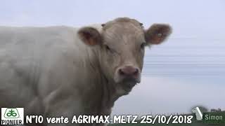 LOT 10  Vente Agrimax à Metz  25 octobre 2018  Simon Genetic [upl. by Angle]