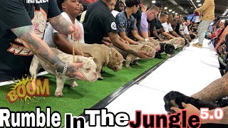 Rumble In The Jungle 50 Dog show [upl. by Eniamerej]