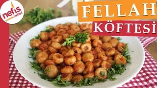 Fellah Köftesi Tarifi  Bulgur Köftesi  Nefis Yemek Tarifleri [upl. by Kcirttap]