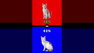 Would You Rather Part 35 Cat Breed Edition shorts [upl. by Aiciram]