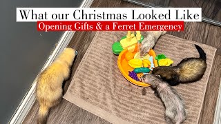 What our Christmas Looked like Opening Gifts and a Ferret Emergency [upl. by Carolyne456]