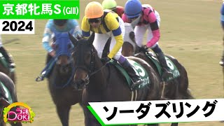 【武豊騎手38年連続重賞勝利】2024年 京都牝馬ステークス（GⅢ）ソーダズリング【うまＤＯＫＩ】 [upl. by Lissak]