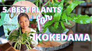 5 KINDS OF PLANTS BEST FOR KOKEDAMA [upl. by Nennek740]