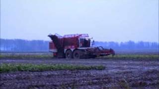 Beet Eaters in de modder [upl. by Laehplar]