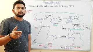 Protein Folding in ERCSIR NET in Hindi [upl. by Nolahs]