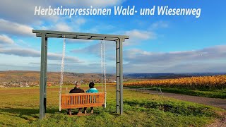 Drohnenaufnahmen Herbstimpressionen Wald und Wiesenweg  DJI Mini 4 Pro [upl. by Lebatsirc386]