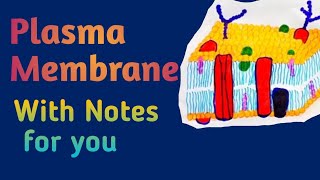 Plasma Membrane  Class 11 Lecture2  Cell  Biology  FSC 1st year MedicalMedicos [upl. by Bill28]