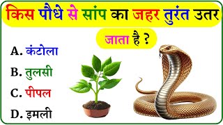 GK Question  GK In Hindi  GK Question and Answer  GK Quiz [upl. by Gascony313]