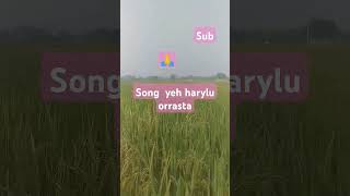 Song haryali Or rasta song [upl. by Gilliam]