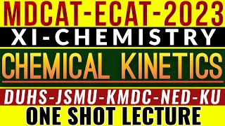 Chemical Kinetics MCQs MDCATECAT2023 [upl. by Akit32]