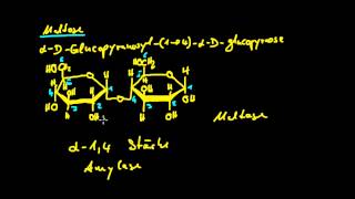 Organische Chemie  11 Kohlenhydrate 3  Disaccharide [upl. by Yedoc718]