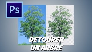 photoshop détourer un arbre [upl. by Dlnaod]