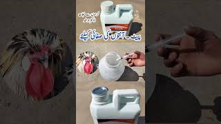 Treatment of Sick Birds at Home  How to Deworm Poultry Birds  Ezole Drench  Dr ARSHAD [upl. by Ennairol]