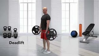 How to do a Barbell Deadlift [upl. by Beera346]