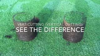 Vertical Mowing  Verticutting  See the Difference [upl. by Maxantia]