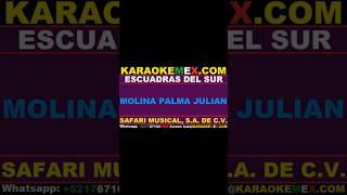 karaoke banda machos  escuadras del sur karaokemex [upl. by Gaspard515]