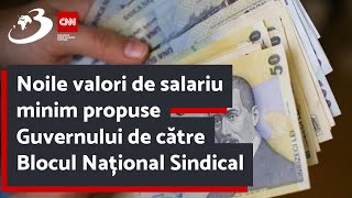 Noile valori de salariu minim propuse Guvernului de către Blocul Național Sindical [upl. by Juline]