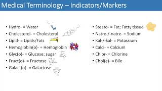 Medical Terminology  The Basics  Lesson 3 [upl. by Anthiathia686]