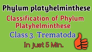 Phylum platyhelminthese classificationTrematodes ClassificationTrematode Character Trematodes [upl. by Rezal]