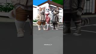 Come on my cute kitty lets cruise around the city catlover funny cutecat [upl. by Ailecec807]