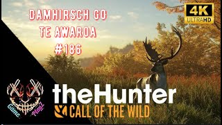 TheHunter CotW Der Weg zum Damhirsch Great One 186 [upl. by Beret473]