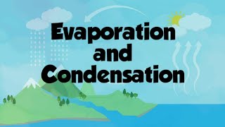 what is evaporation and condensation elementry science environment studies [upl. by Emmerich]