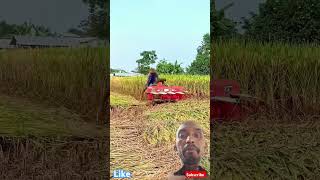 Mini Power reaper MachinePower weeder Machinedhan cutting machine agriculture paddycutting [upl. by Baudelaire]