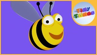 A Bee C song  Alphabet Song by Tiny Tunes [upl. by Loveridge]