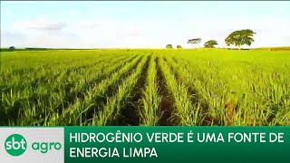 SBT AGRO 231023Hidrogênio verde é a forma mais natural de usar energia sem poluir o meio ambiente [upl. by Navarro]