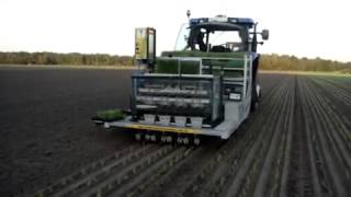 Automatic onion planting with 4 row transplanter [upl. by Daegal]