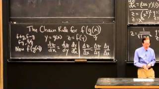 Chains fgx and the Chain Rule [upl. by Leler589]