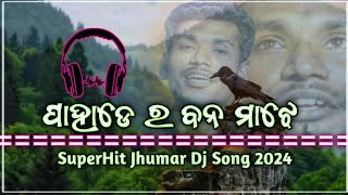 ପାହାଡ଼େ ର ବନ ମାଝେ🪶Paahadero Bono Majhe🪶 Superhit Jhumar Dj Song 2024🪶Bindhani Song 2024🪶Lohar Song [upl. by Ardnuasak]