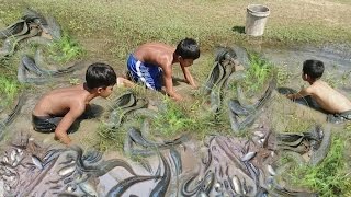 Amazing Kids FishingAmazing Fishing at Battambang  Cambodia Traditional Fishing [upl. by Gide]