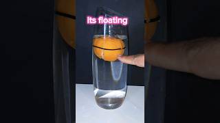 Does an orange float and sink float shorts experiment [upl. by Tnahsarp58]