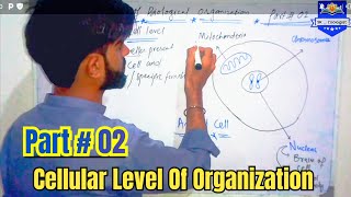 Level Of Biological Organization  Cellular Level  Biology Class  9th  Chapter  01 [upl. by Ahtenek]