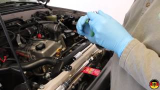 How to Replace Spark Plugs in a Toyota 3RZFE Engine [upl. by Deirdra]