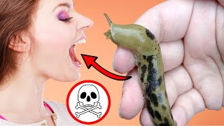 Why You SHOULD NOT Eat a Snail or Slug  DANGER [upl. by Fotzsyzrk]