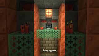 🟥💎NAJRZADSZY przedmiot do znalezienia w MINECRAFT💎🟥 śmieszne mc minecraft ciekawostki memes [upl. by Daenis]