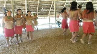 Danza Comunidad Yagua  Amazonas Colombiano [upl. by Cooley]