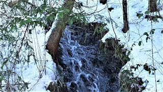 Wassergeräusch Bergbach Fluss Wasserfall zur Entspannung mit Musik [upl. by Fast]