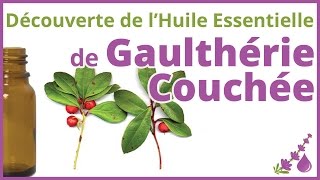 Gaulthérie Couchée  LHuile Essentielle du Sportif 💃🏻🏋🏻🚴🏻‍♀️  Dr Françoise Couic Marinier [upl. by Adele]