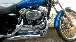 2004 Stock Harley Sportster Custom XL 1200 C [upl. by Petra835]