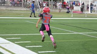 Northeast Bandits vs Tampa Bay Cardinals 10U Highlights [upl. by Tsew]