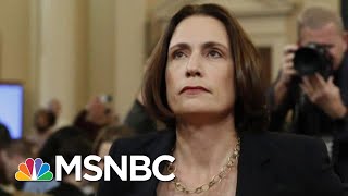 The Story Behind Russia Expert Fiona Hill  Deadline  MSNBC [upl. by Afatsuom]