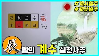 중급 262강 진辰월의 계수 실전사주🐲 [upl. by Gardas]