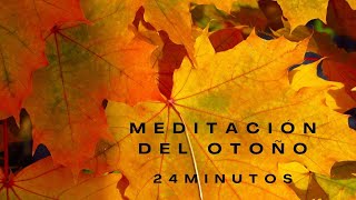 🌸MEDITACIÓN DEL OTOÑO🌸 24 MINS [upl. by Eignav523]