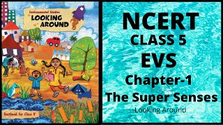 NCERT Solutions Class 5 EVS Chapter 1 Super Senses [upl. by Bubalo]