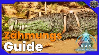 DEINOSUCHUS ZÄHMEN amp NUTZEN  Taming in Ark  Ark Survival Ascended [upl. by Daisi347]